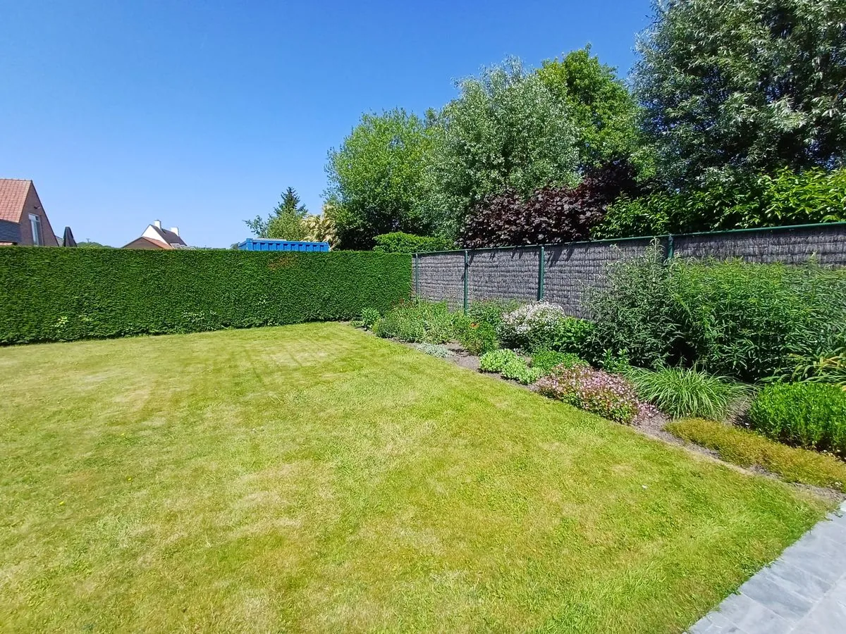 Gazon met hagen en bloembed in de tuin